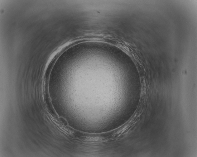 X0000083070342200702161827