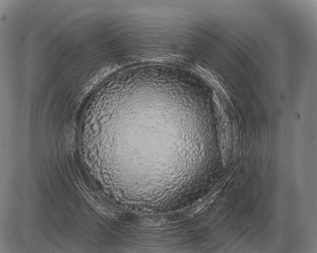 X0000083070346200702161827