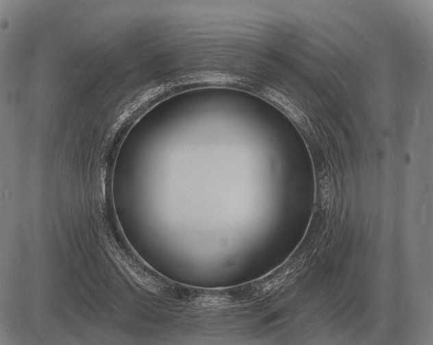 X0000083070350200702161827