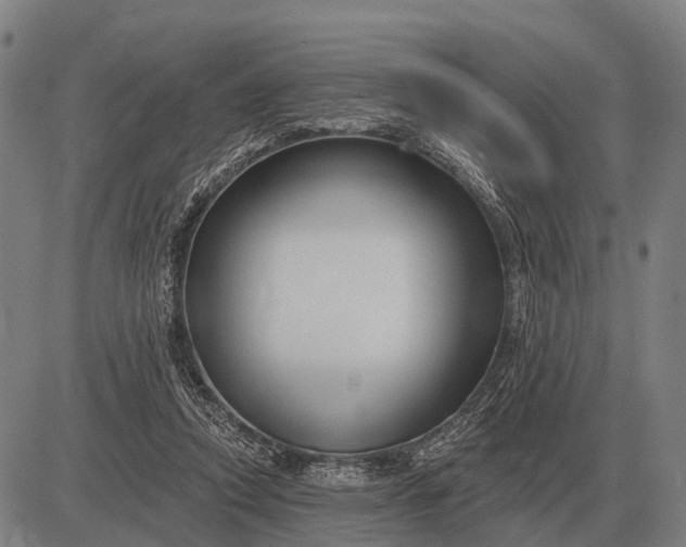 X0000083070354200702161827