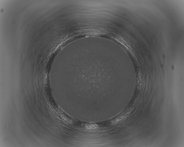X0000083070355200702161827