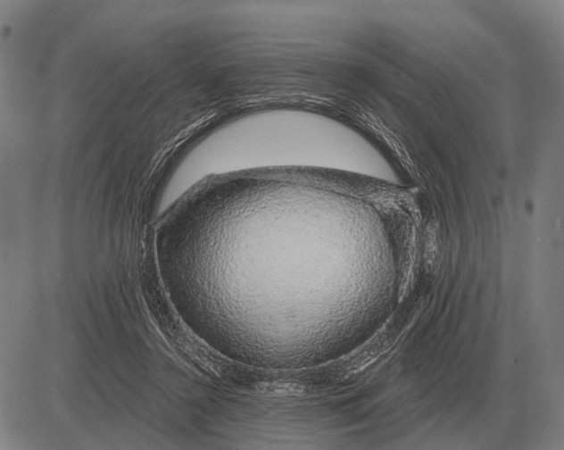 X0000083070356200702161827
