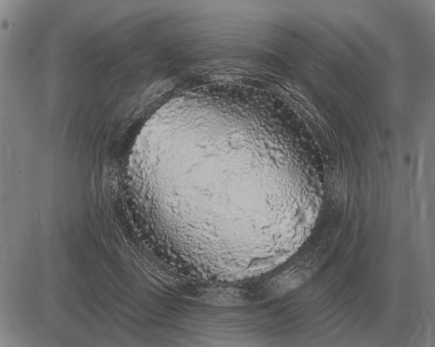 X0000083070363200702161827