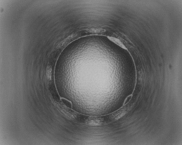 X0000083070368200702161827