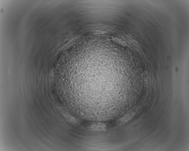 X0000083070369200702161827