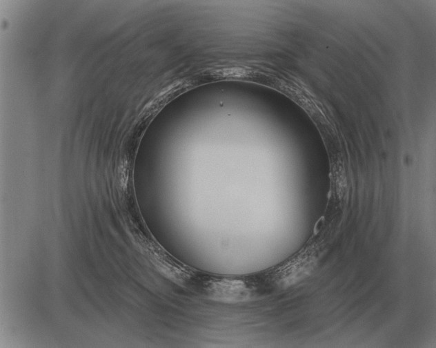 X0000083070374200702161827