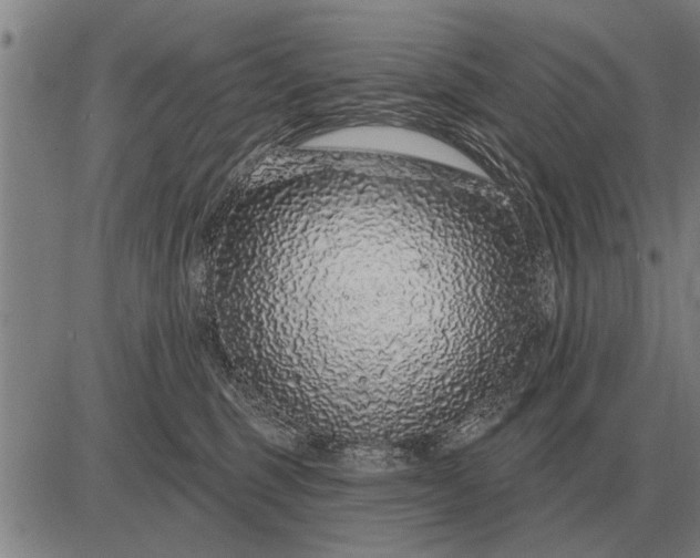 X0000083070375200702161828
