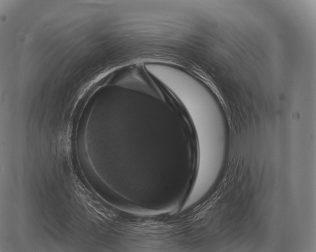 X0000083070387200702161827