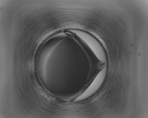 X0000083070391200702161827