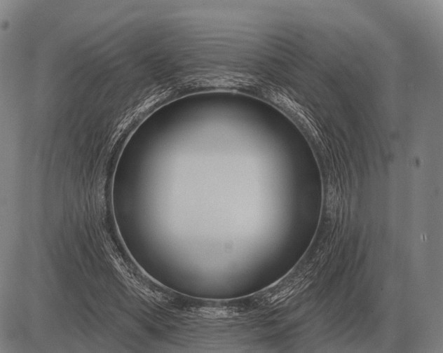 X0000083070394200702161827