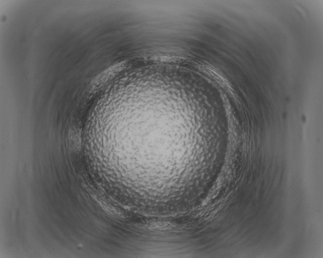 X0000083070401200702161827
