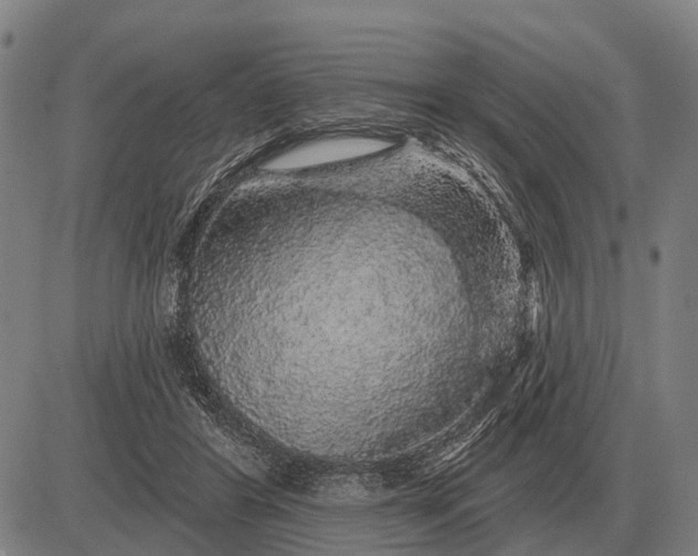 X0000083070404200702161827