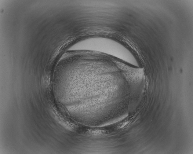 X0000083070407200702161827
