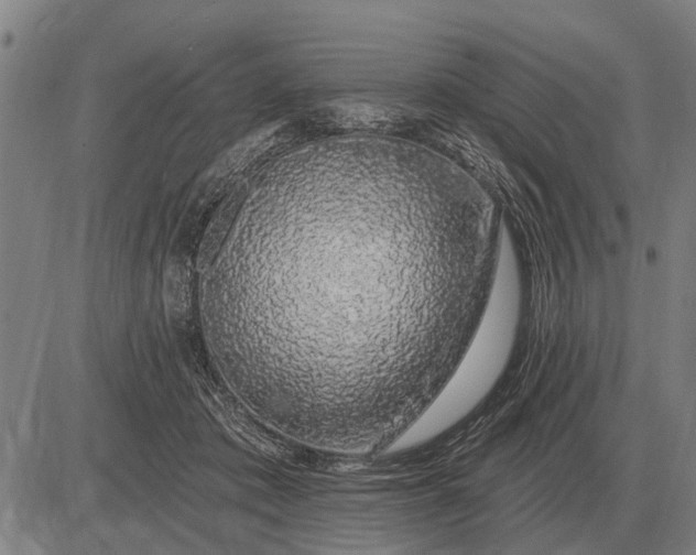 X0000083070413200702161826