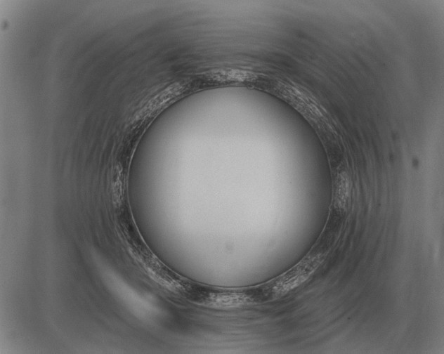 X0000083070414200702161826