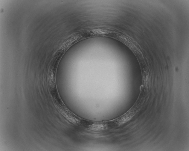 X0000083070418200702161826