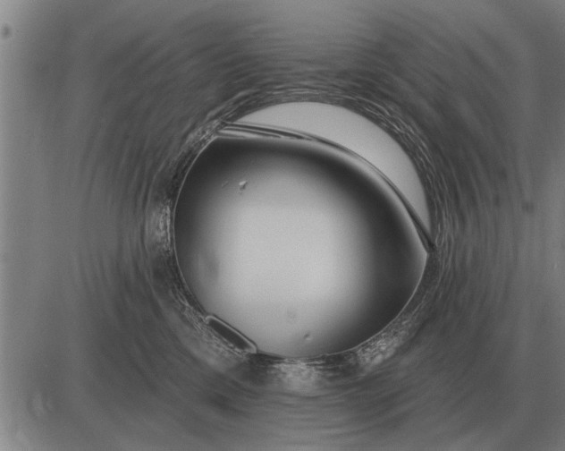 X0000083070425200702161826