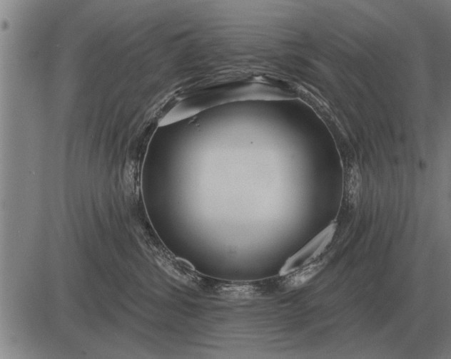 X0000083070428200702161826