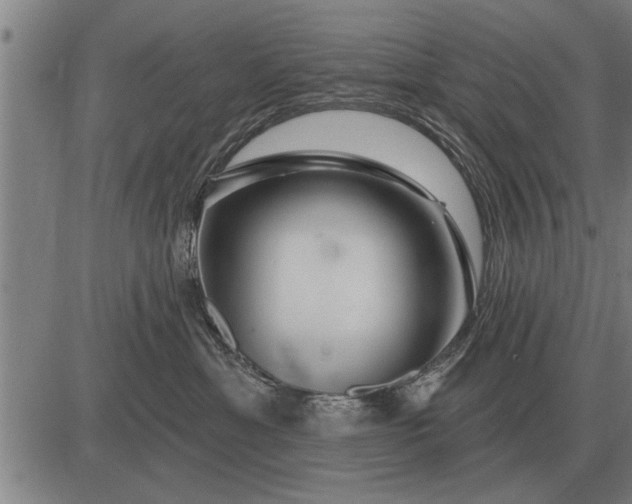X0000083070429200702161826
