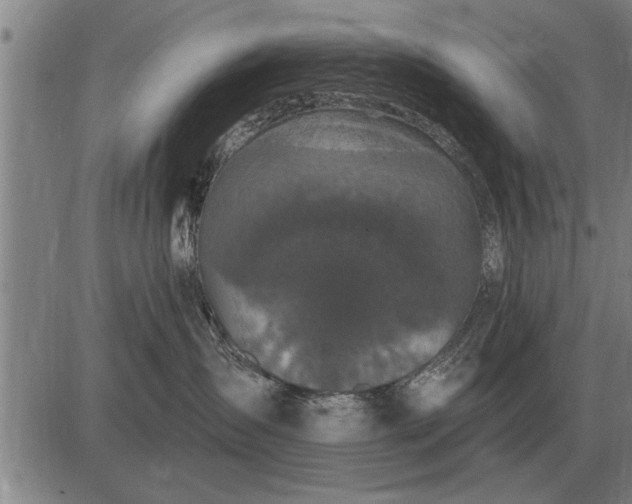 X0000083070431200702161826