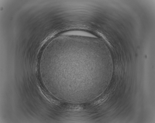 X0000083070443200702161825
