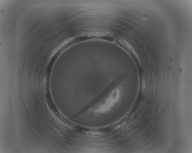X0000083070444200702161825