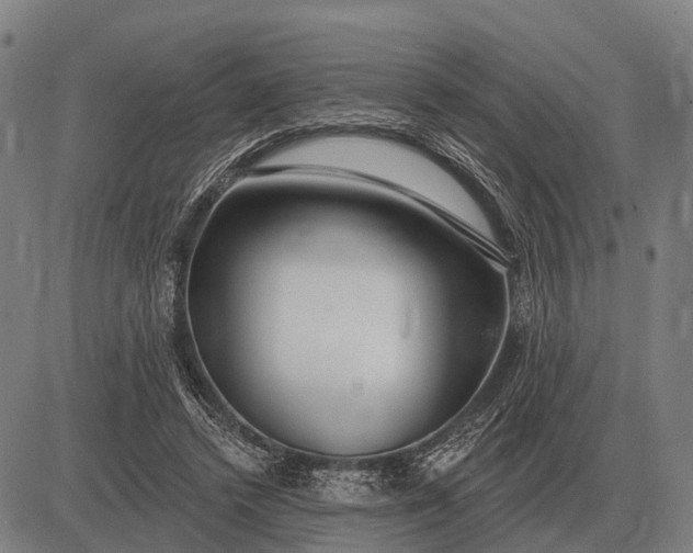 X0000083070448200702161826
