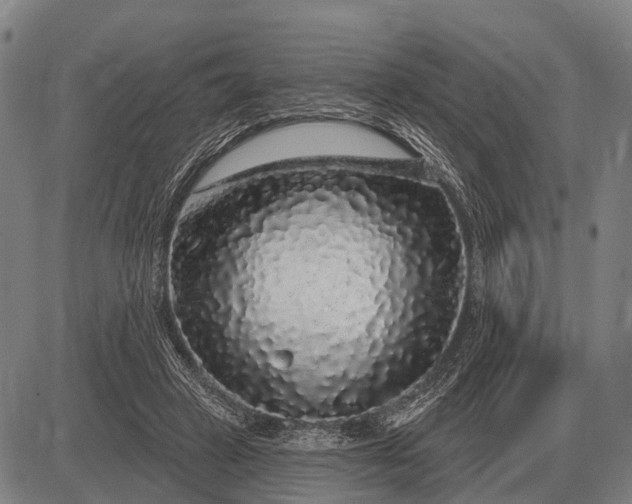 X0000083070449200702161826