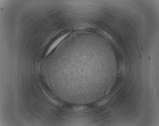 X0000083070452200702161826