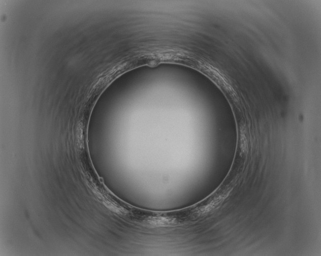 X0000083070453200702161826