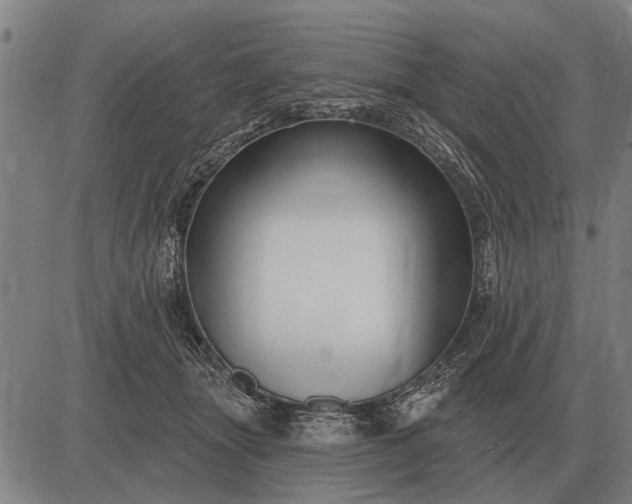 X0000083070463200702161826