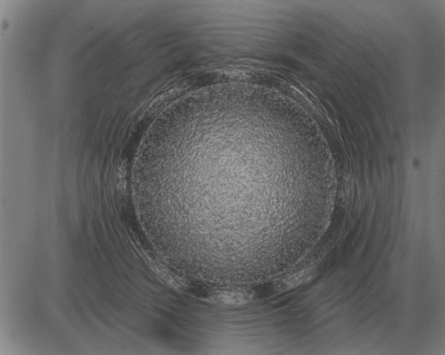 X0000083070466200702161826