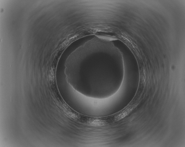 X0000083070467200702161826