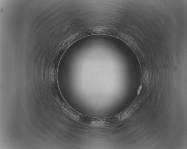 X0000083070470200702161826