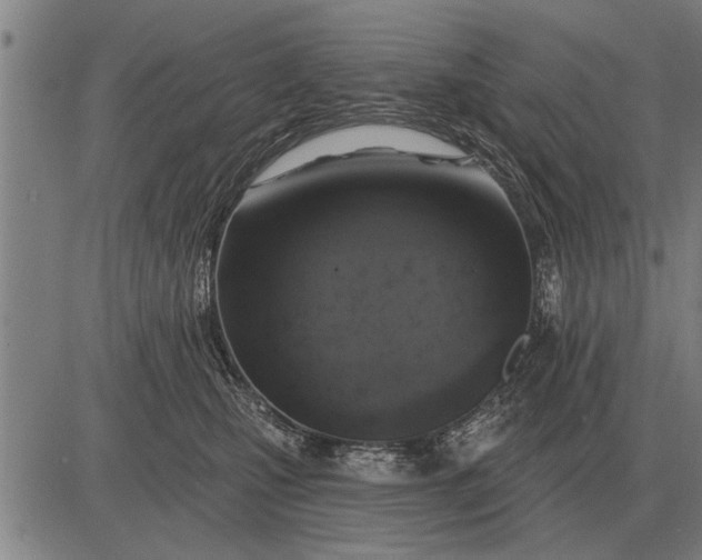 X0000083070471200702161826
