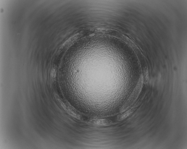 X0000083070472200702161826