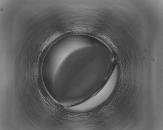 X0000083070488200702161825