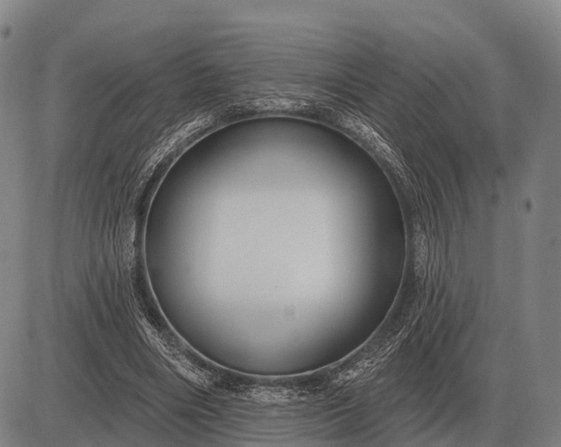 X0000083070490200702161825