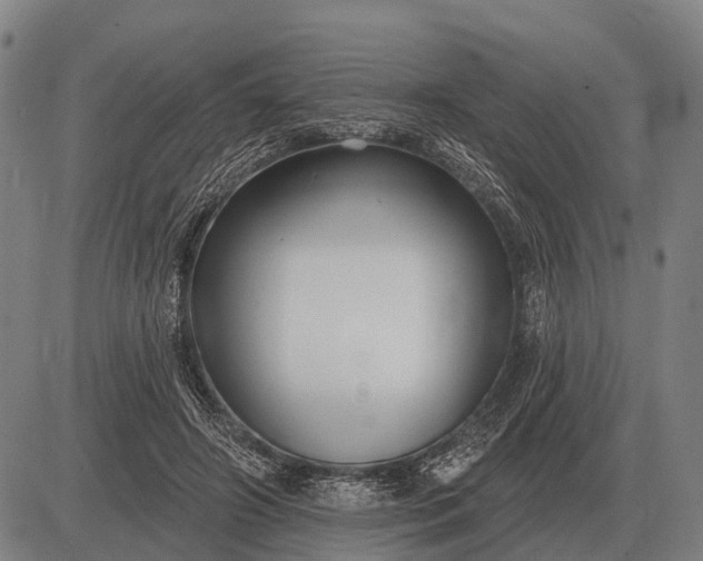 X0000083070498200702161825