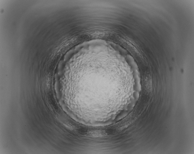 X0000083070499200702161825