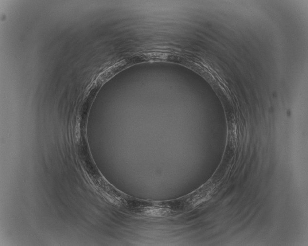X0000083070504200702161825