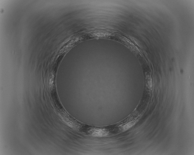 X0000083070507200702161825