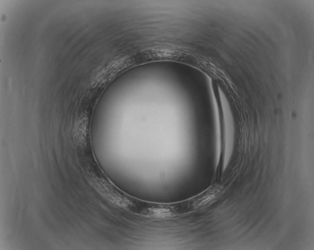 X0000083070509200702161825