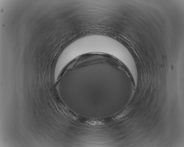 X0000083070512200702161825