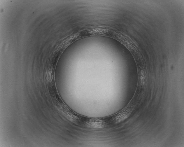 X0000083070514200702161825