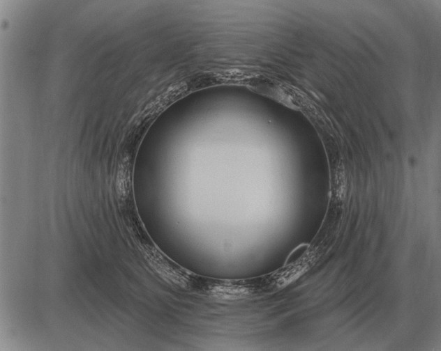 X0000083070515200702161825
