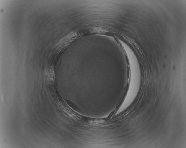 X0000083070517200702161825