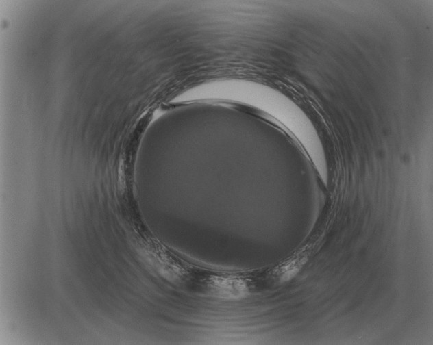 X0000083070520200702161825
