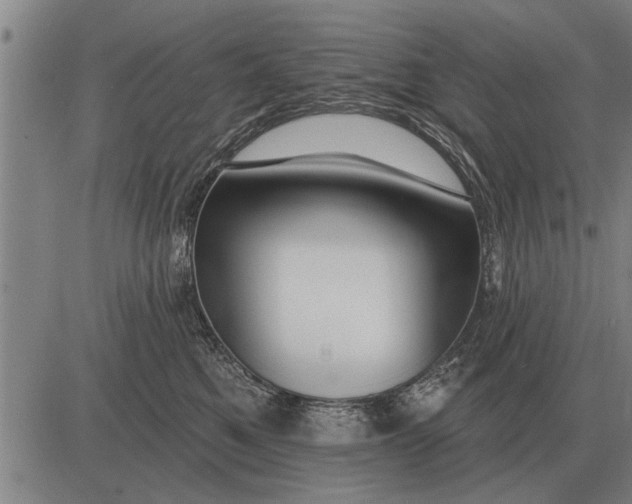 X0000083070521200702161825