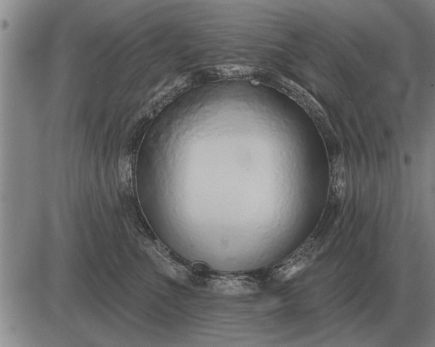 X0000083070523200702161825